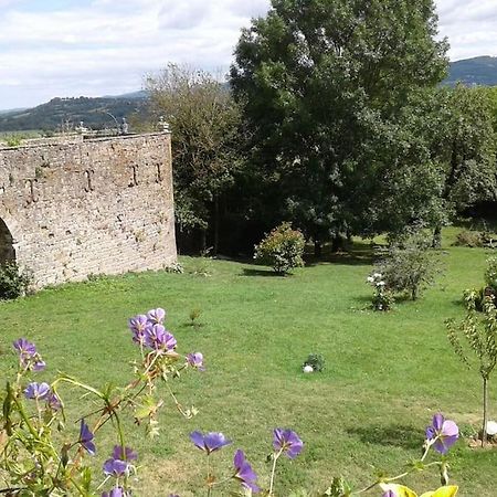Le Clos De Soulages Gite 2 Pers Palmas Zewnętrze zdjęcie